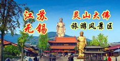 caobibi的视频江苏无锡灵山大佛旅游风景区